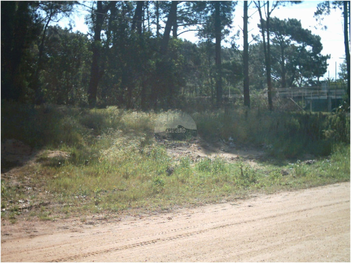 Terreno ID.5101 - Terreno en Punta del Este, Rincón del Indio