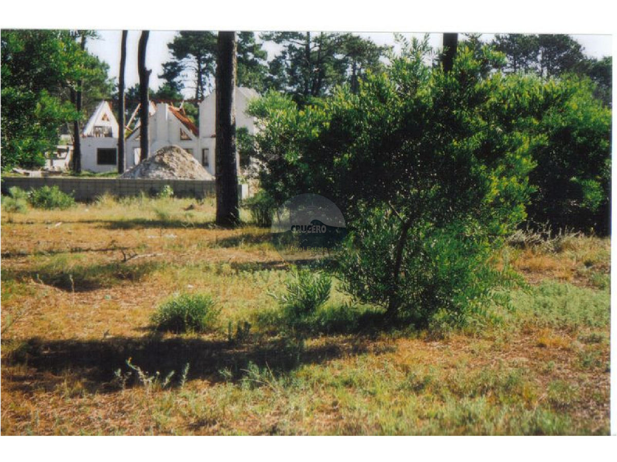 Terreno ID.5108 - Terreno en Punta del Este, Jardines de CÃ³rdoba
