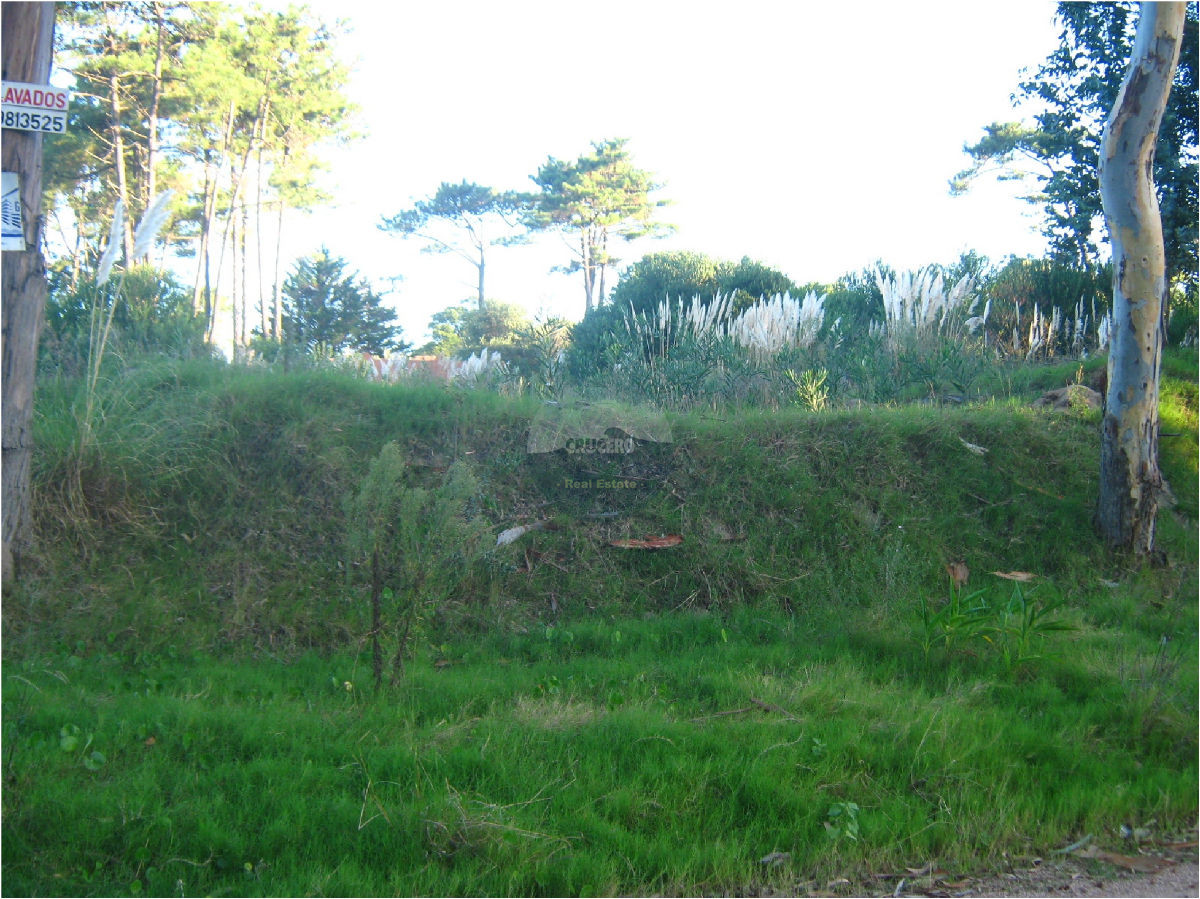 Terreno ID.5128 - Terreno en Punta del Este, Rincón del Indio