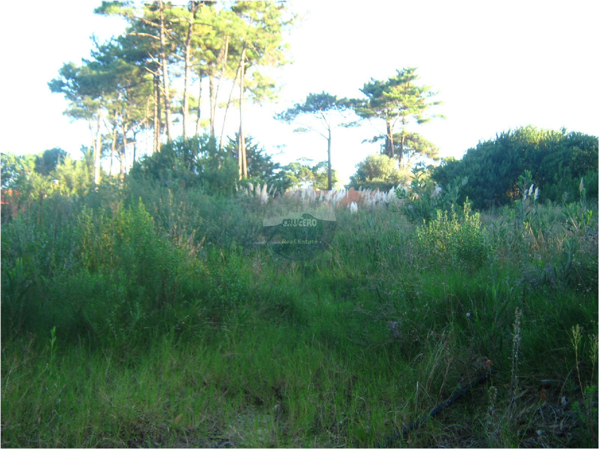 Terreno ID.5128 - Terreno en Punta del Este, Rincón del Indio