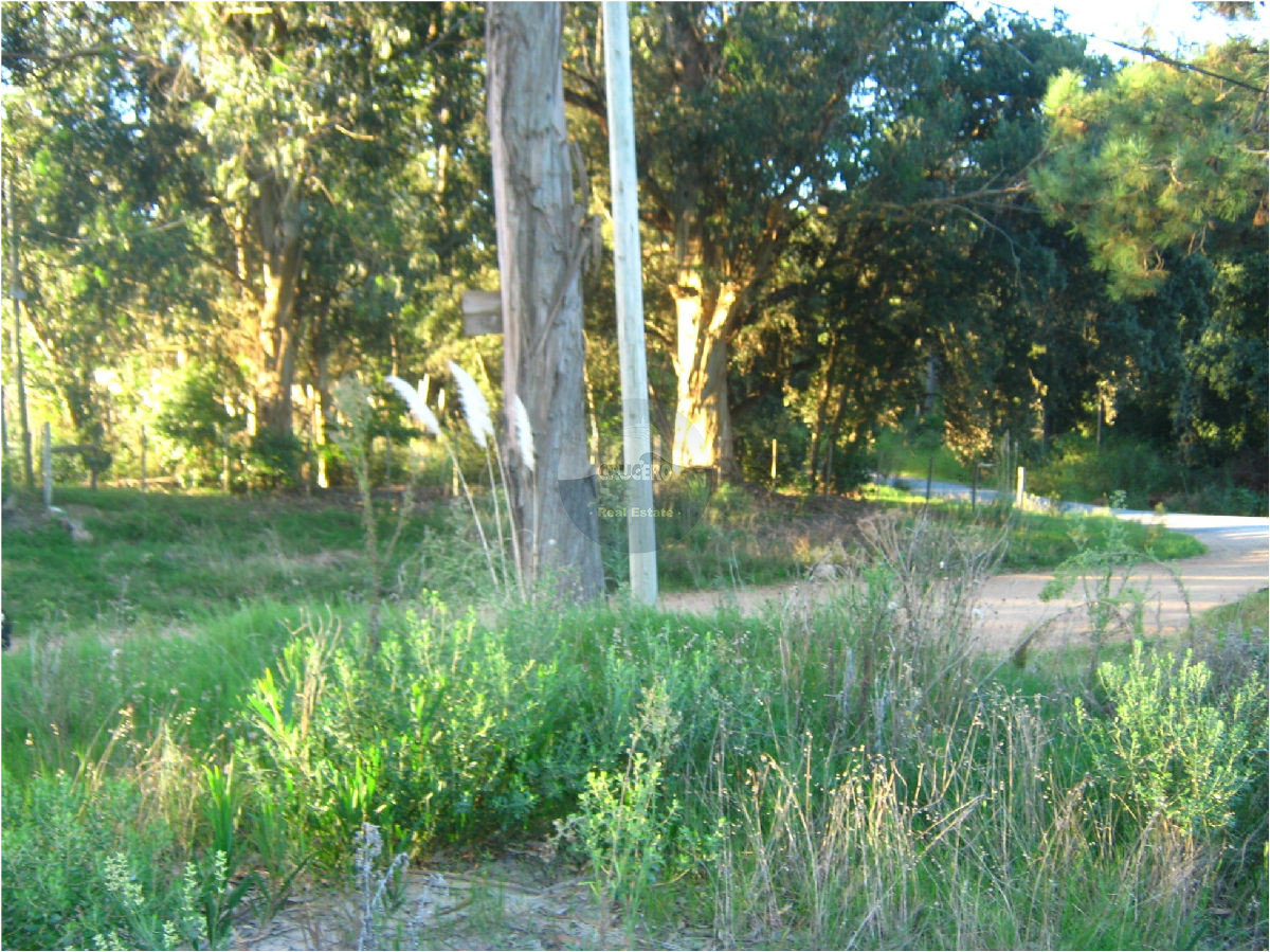 Terreno ID.5128 - Terreno en Punta del Este, Rincón del Indio