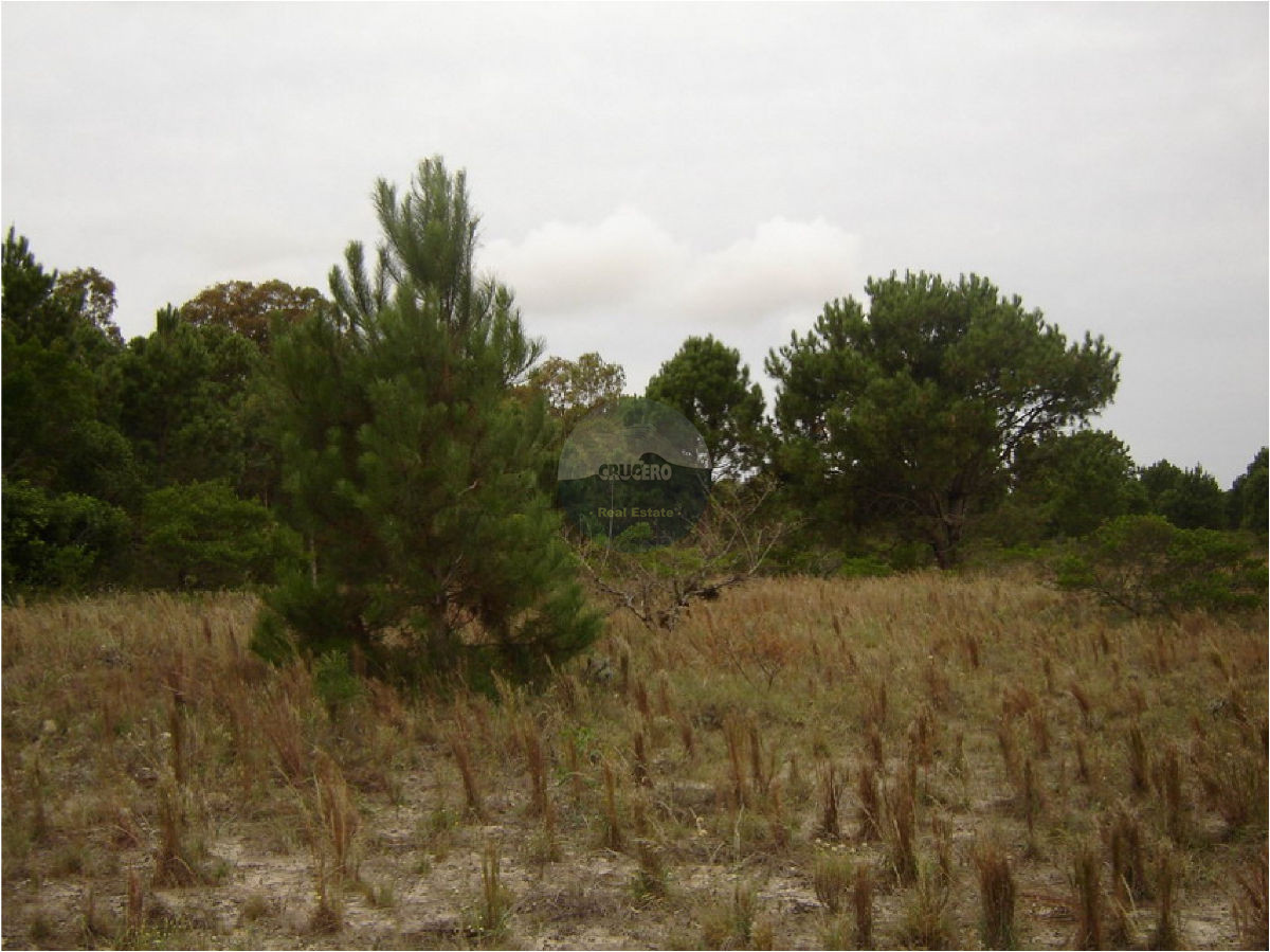 Terreno ID.5138 - Terreno en Colonia del Sacramento, Colonia