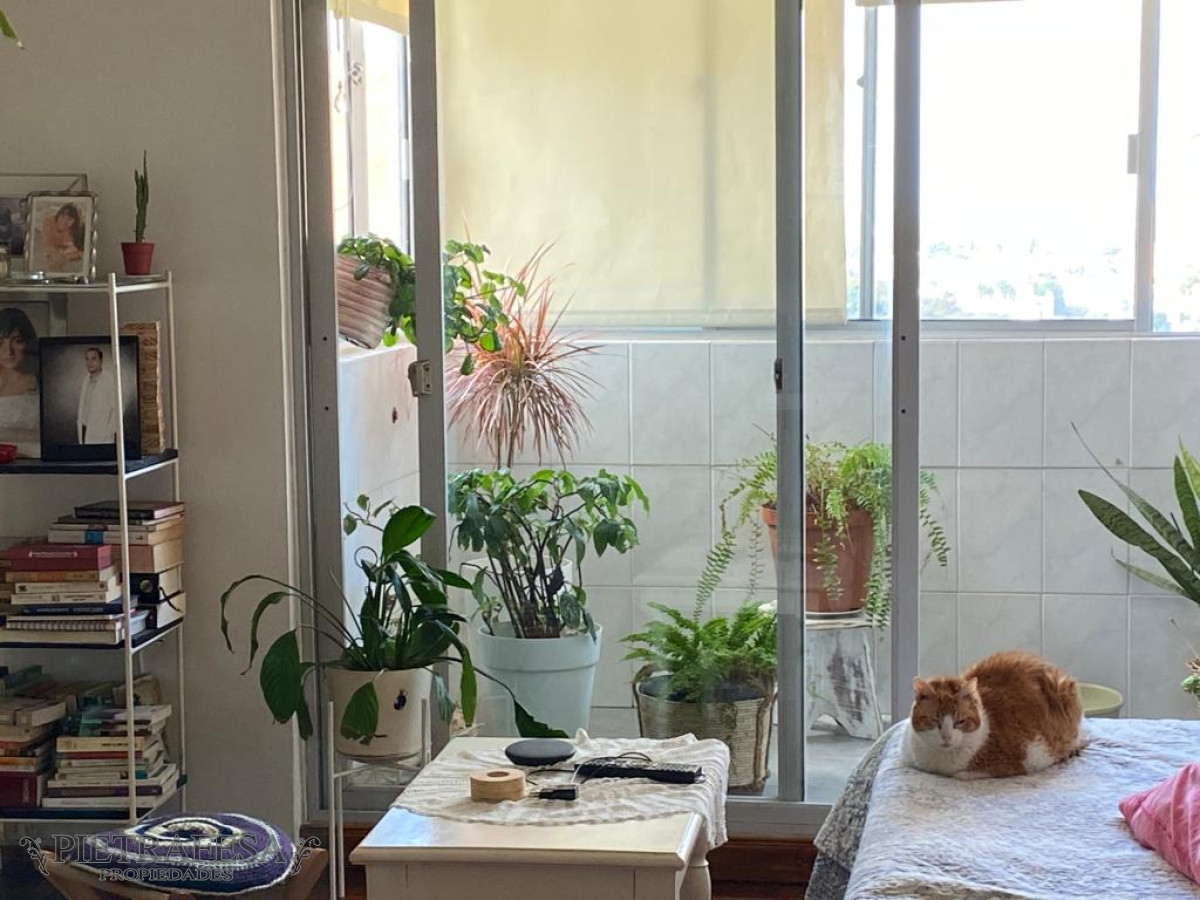 Apartamento ID.8080 - Apartamento en venta 2 dormitorios, 1 baño- Mariano Sagasta- Prado