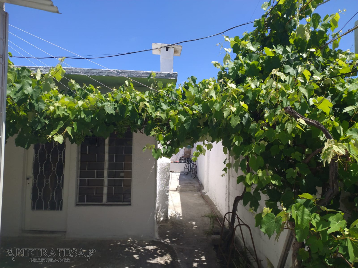 Apartamento ID.6586 - Padrón con 6 aptos con renta en venta- Celiar- Flor de Maroñas 