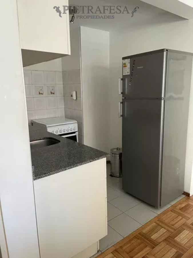 Apartamento ID.11205 - Apartamento en alquiler, monoambiente, 1baño, terraza. Punta Carretas.