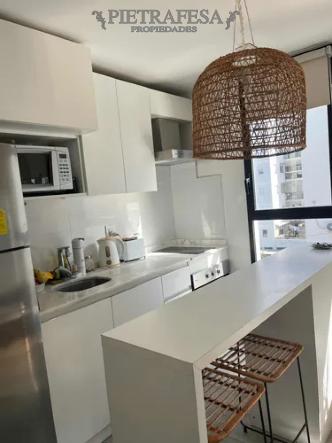 Apartamento ID.13491 - Apartamento en alquiler, monoambiente, 1baño, garaje. Punta Carretas.