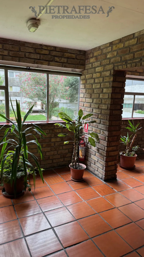 Apartamento ID.16362 - Apartamento 3 dormitorios en Euskalerria 71, Malvin Norte CON RENTA 