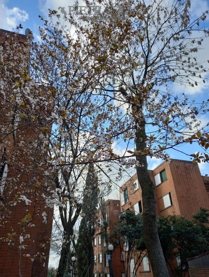 Apartamento ID.4860 - Apartamento en venta, 2 dormitorios, 1 baño, cochera, Cno Carrasco, Complejo Vicman, Malvin Norte.