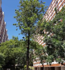 Apto en venta con renta 2 dormitorios, 1 baño-Parque Posadas