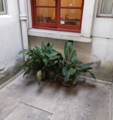PH en venta 2 dormitorios, 1 baño, patio- Tres Cruces