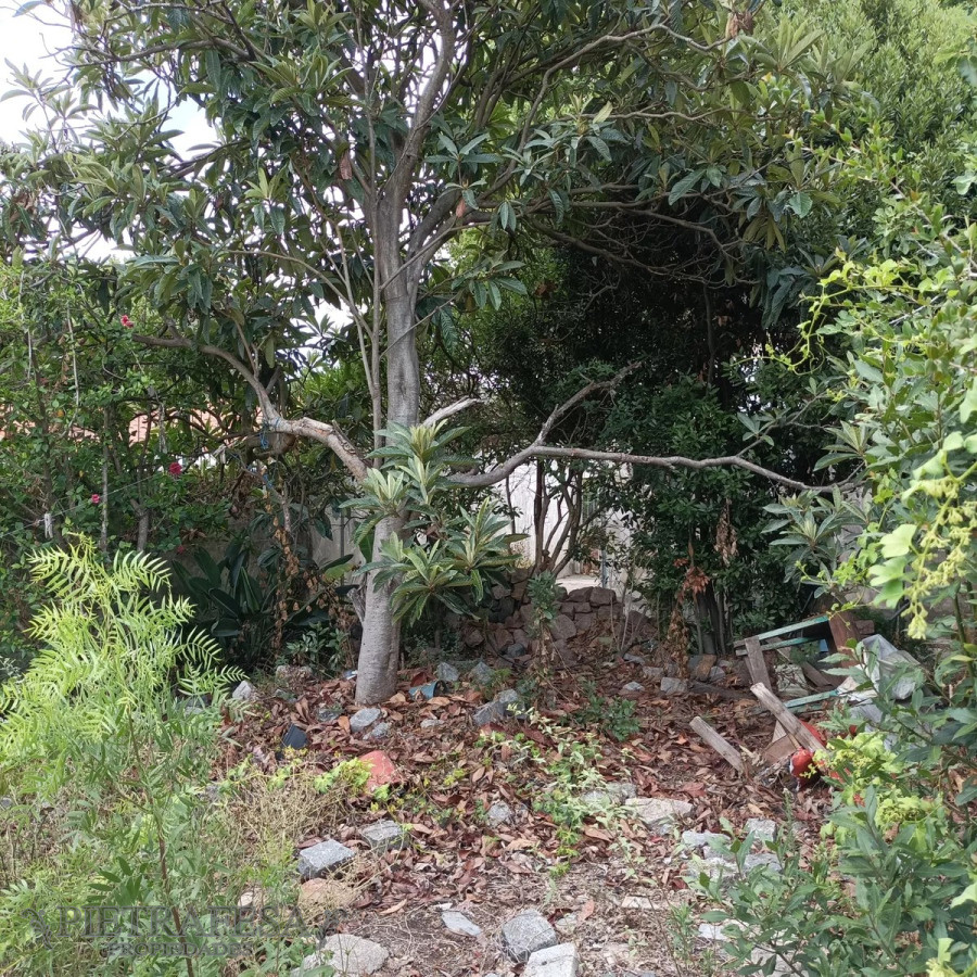 Casa ID.11368 - Casa a reciclar con gran terreno, 2 dormitorios, 1 baño-Colón