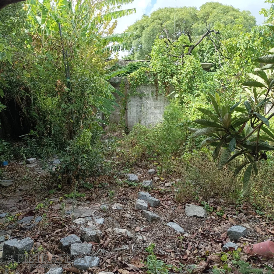 Casa ID.11368 - Casa a reciclar con gran terreno, 2 dormitorios, 1 baño-Colón