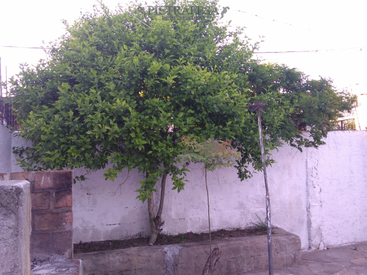 Casa ID.3910 - Casa en Venta con Renta - 2 dormitorios - 1 baño - Andres Gomez - Malvin