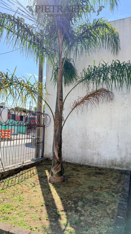 Casa ID.15025 - Casa en alquiler, 1 dormitorio, 1 baño, patio con parrillero. Union.