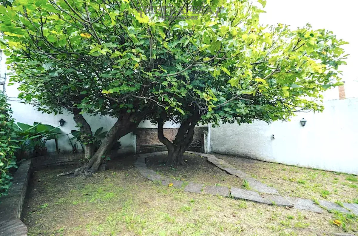 Casa ID.14081 - Casa En Punta Carretas 445m², 3 Dorm + Servicio + Escritorio, 3 Baños, 2 Gge, Fondo, Parrillero