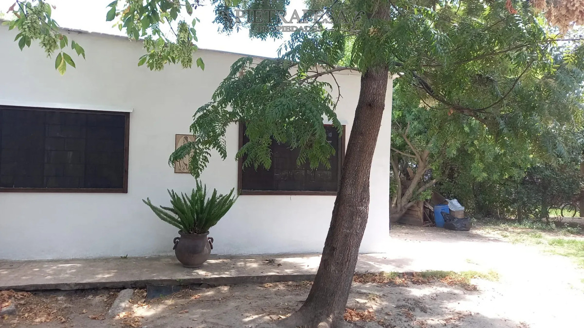 Casa ID.16317 - Casa en alquiler, 2 dormitorios, 1 baño, patio. El Pinar.