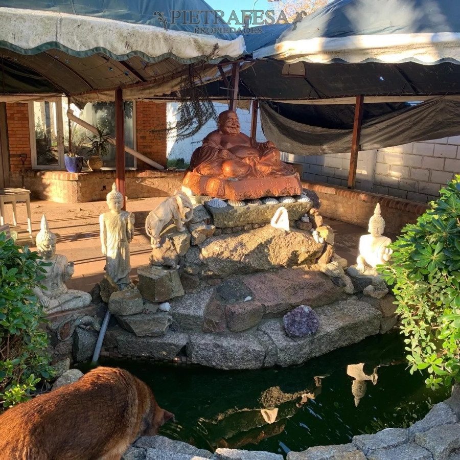 Casa ID.12833 - Casona en venta 5 dormitorios gran terreno-Colón 