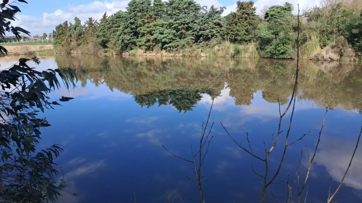 Chacra ID.10738 - Chacra en zona Melilla