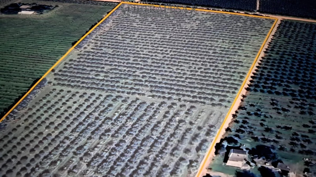 Chacra ID.10738 - Chacra en zona Melilla