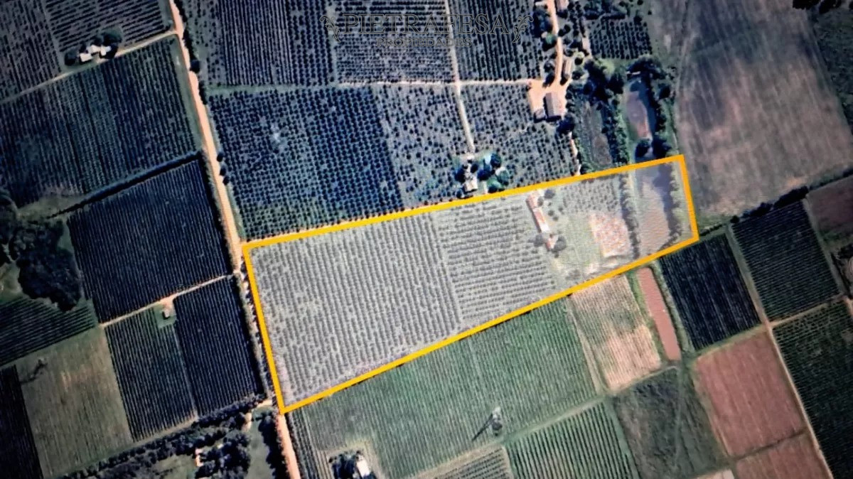 Chacra ID.10738 - Chacra en zona Melilla