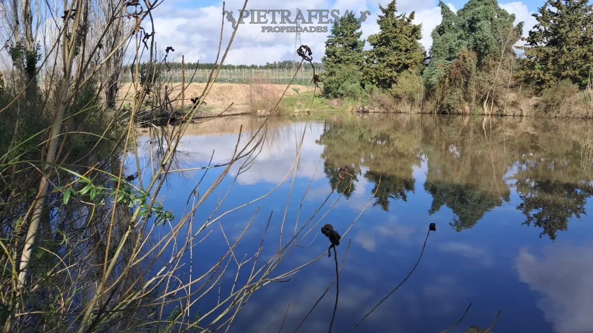 Chacra ID.10738 - Chacra en zona Melilla