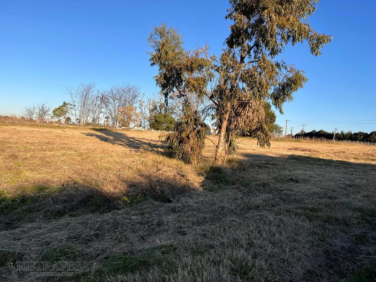 Campo Ref.10253 - Campo n venta- Abayubá