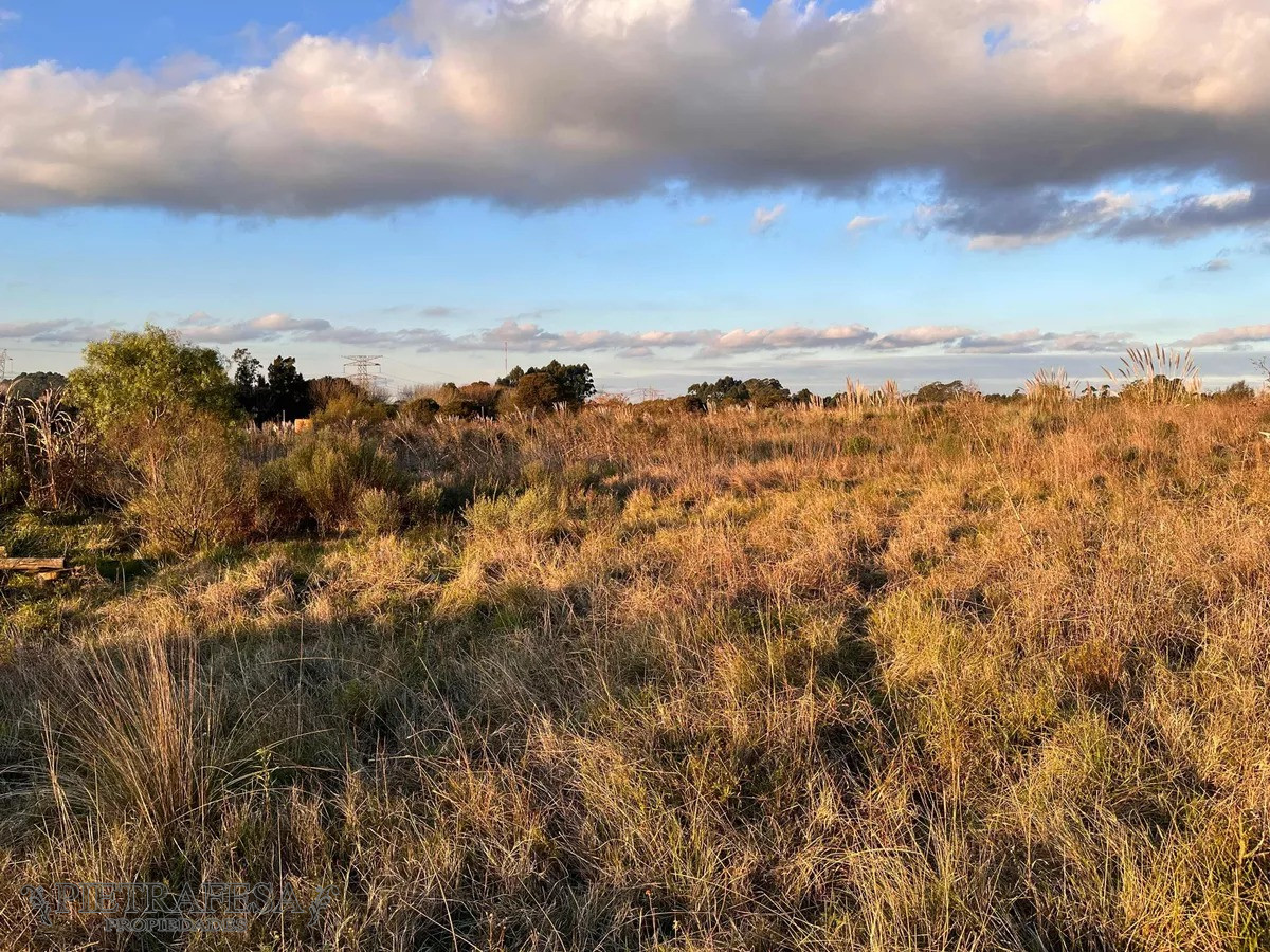 Campo Ref.10253 - Campo n venta- Abayubá