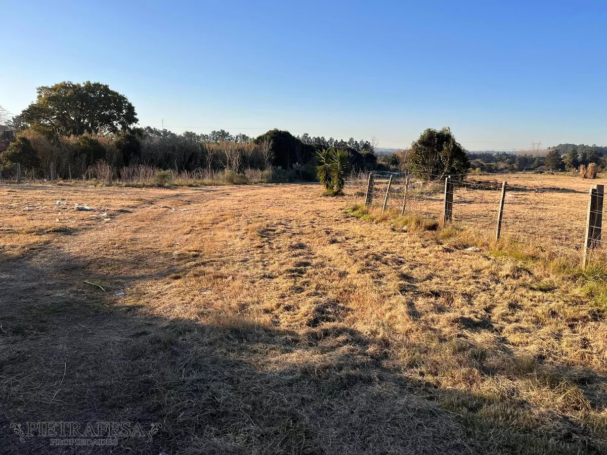 Campo Ref.10253 - Campo n venta- Abayubá