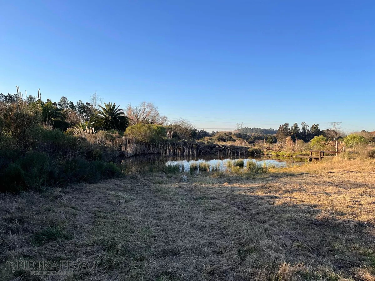 Campo Ref.10253 - Campo n venta- Abayubá