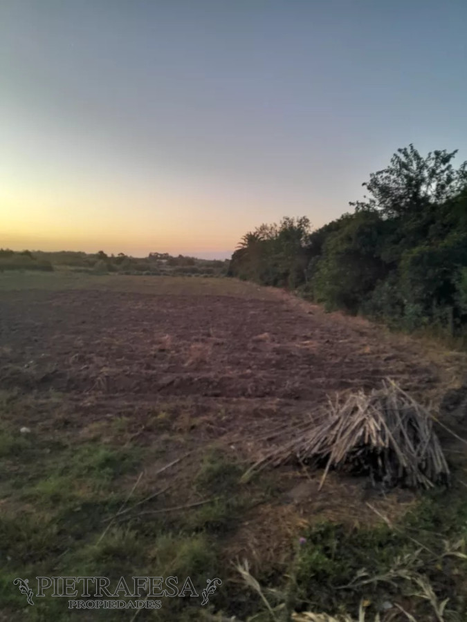 Campo Ref.12498 - Campo en venta -Paso de la arena