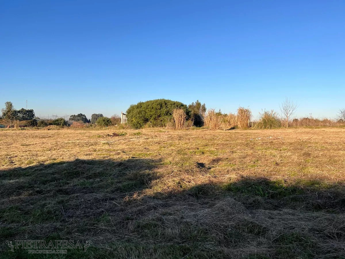 Campo Ref.10253 - Campo n venta- Abayubá