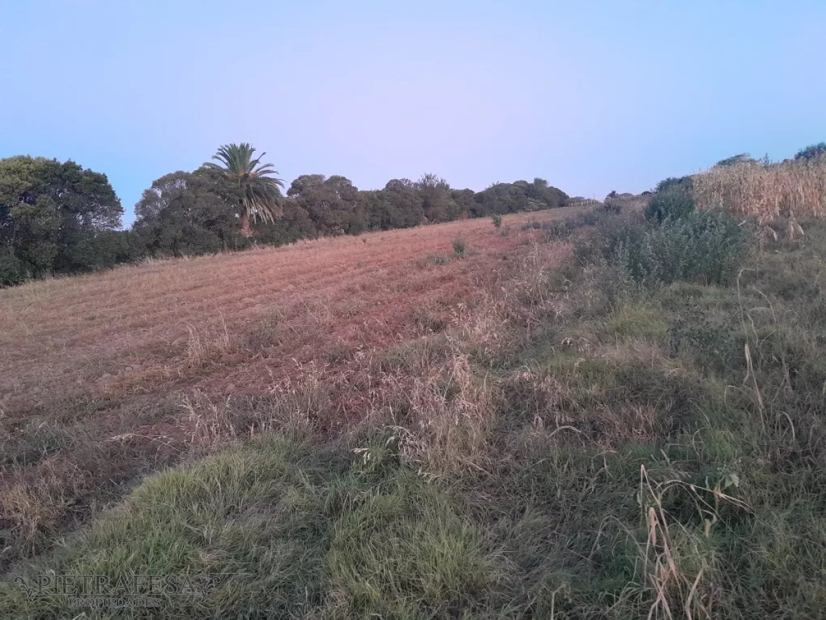 Campo Ref.12498 - Campo en venta -Paso de la arena