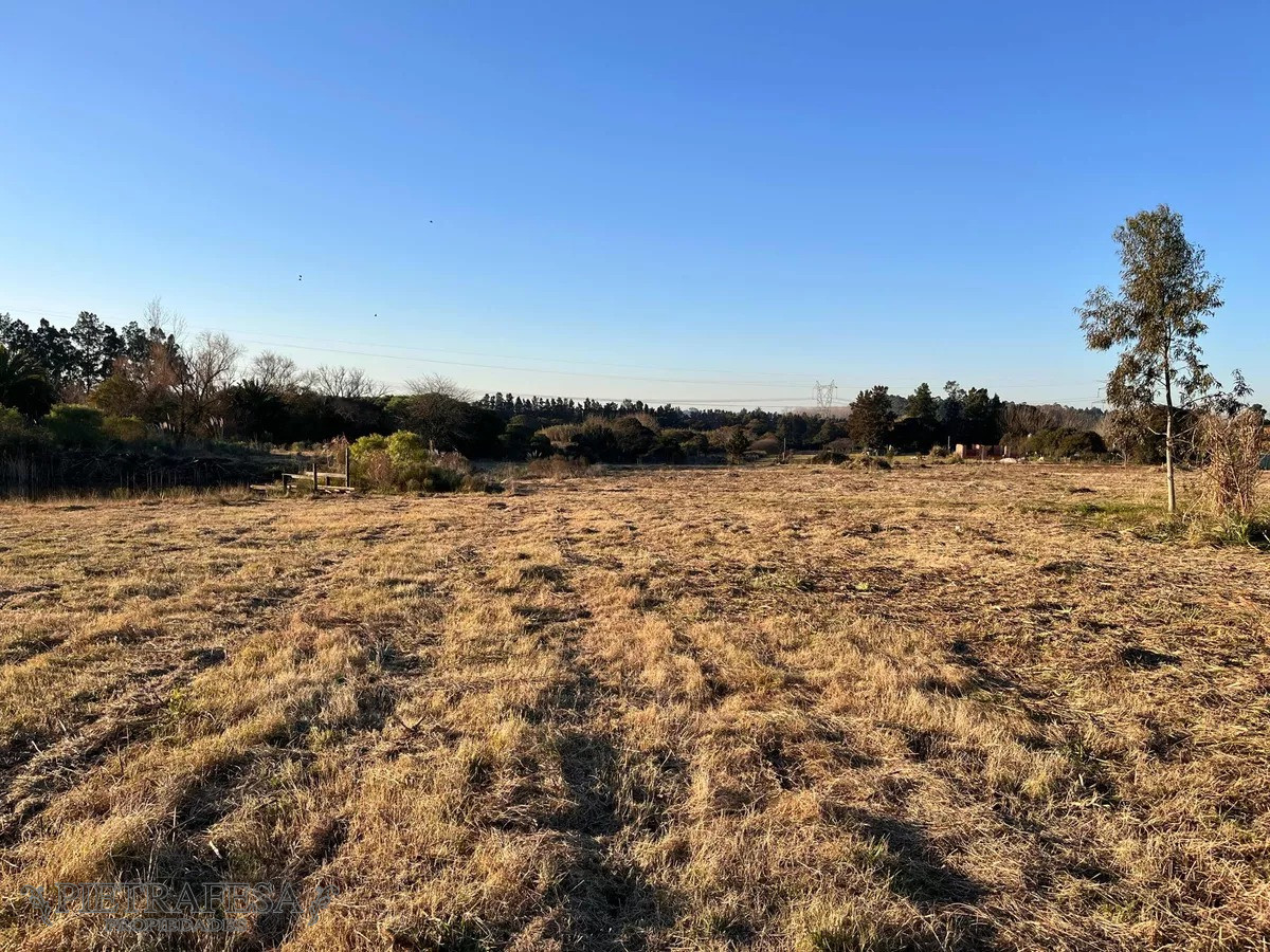 Campo Ref.10253 - Campo n venta- Abayubá
