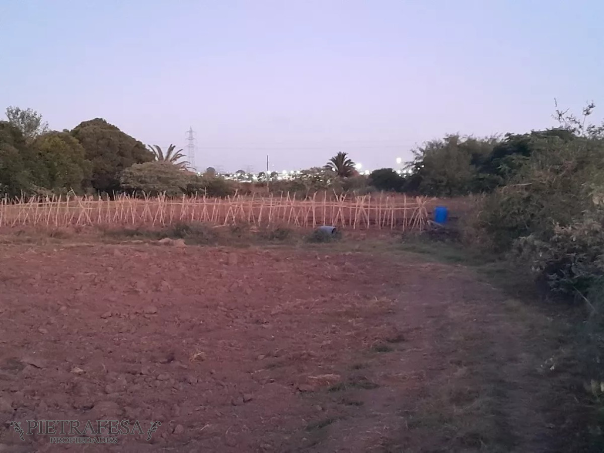 Campo Ref.12498 - Campo en venta -Paso de la arena