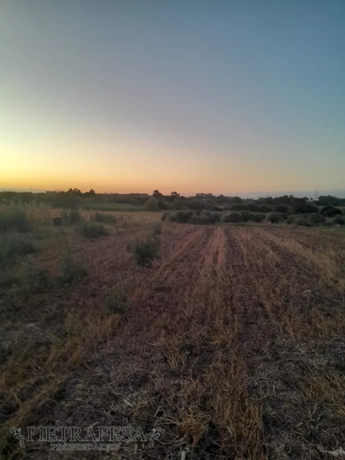 Campo Ref.12498 - Campo en venta -Paso de la arena