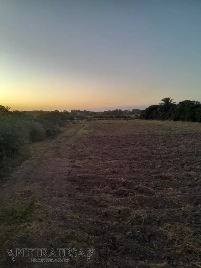 Campo Ref.12498 - Campo en venta -Paso de la arena