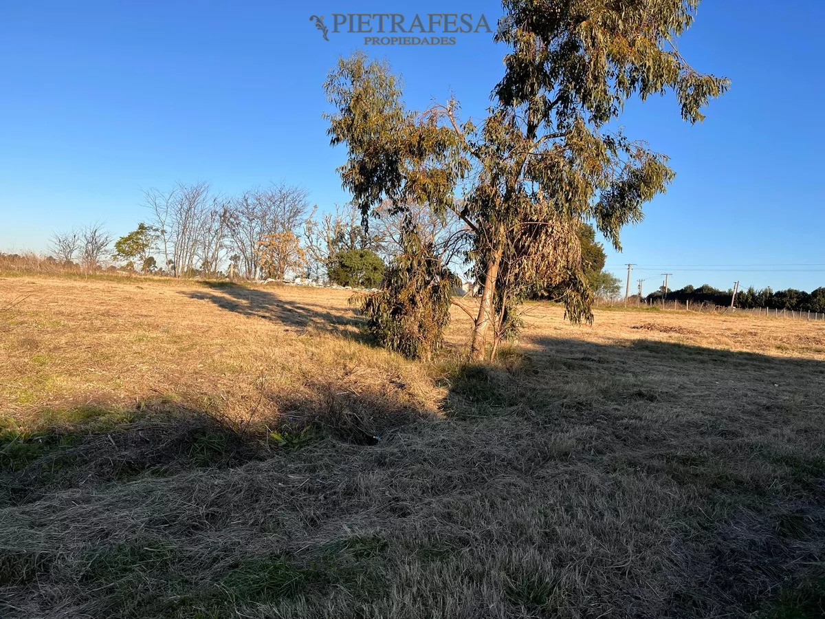 Campo Ref.10253 - Campo n venta- Abayubá