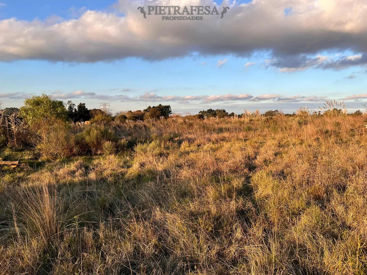 Campo Ref.10253 - Campo n venta- Abayubá