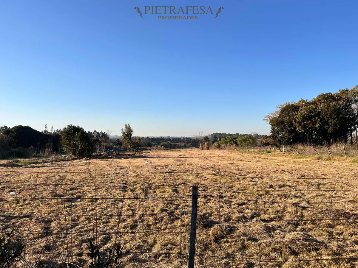 Campo Ref.10253 - Campo n venta- Abayubá