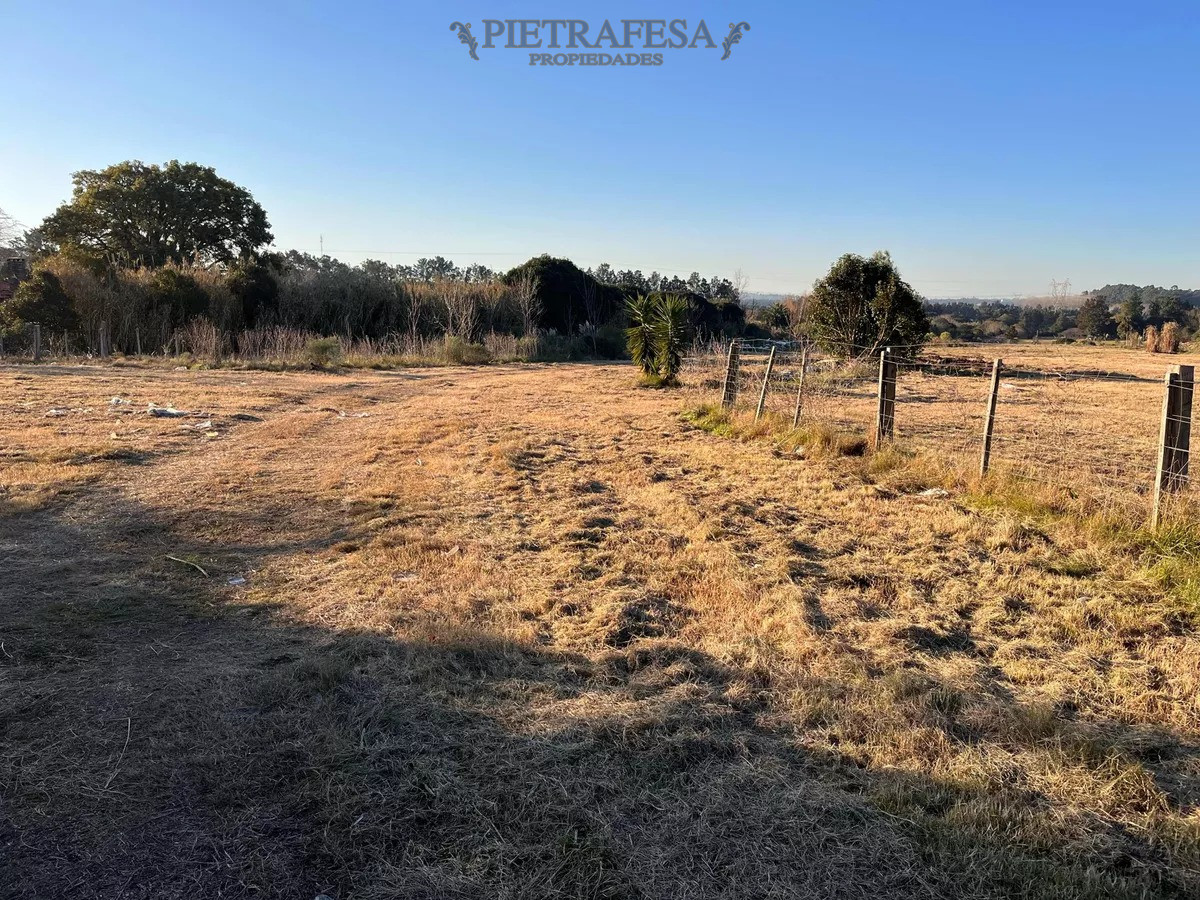 Campo Ref.10253 - Campo n venta- Abayubá