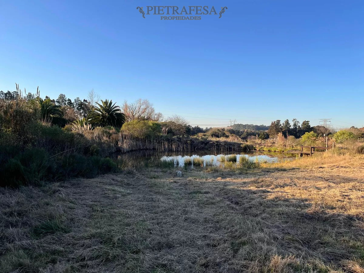 Campo Ref.10253 - Campo n venta- Abayubá