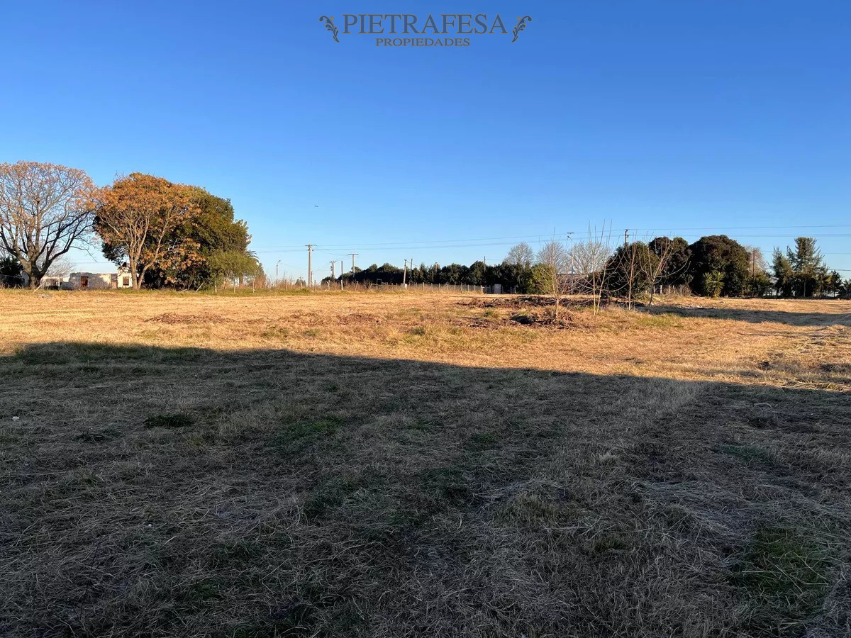 Campo Ref.10253 - Campo n venta- Abayubá