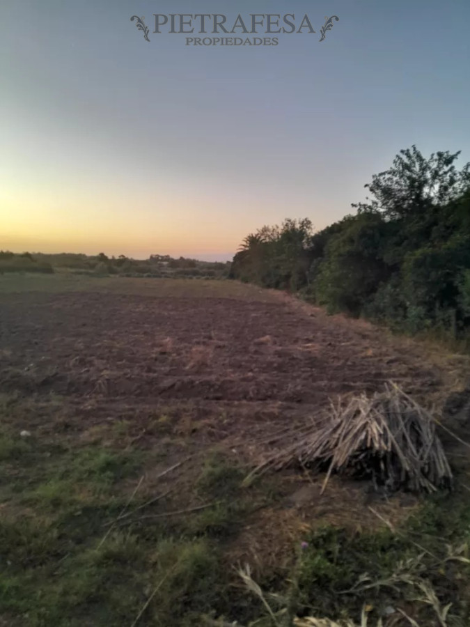 Campo Ref.12498 - Campo en venta -Paso de la arena