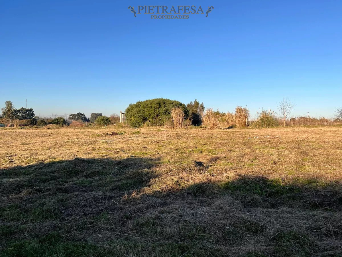 Campo Ref.10253 - Campo n venta- Abayubá