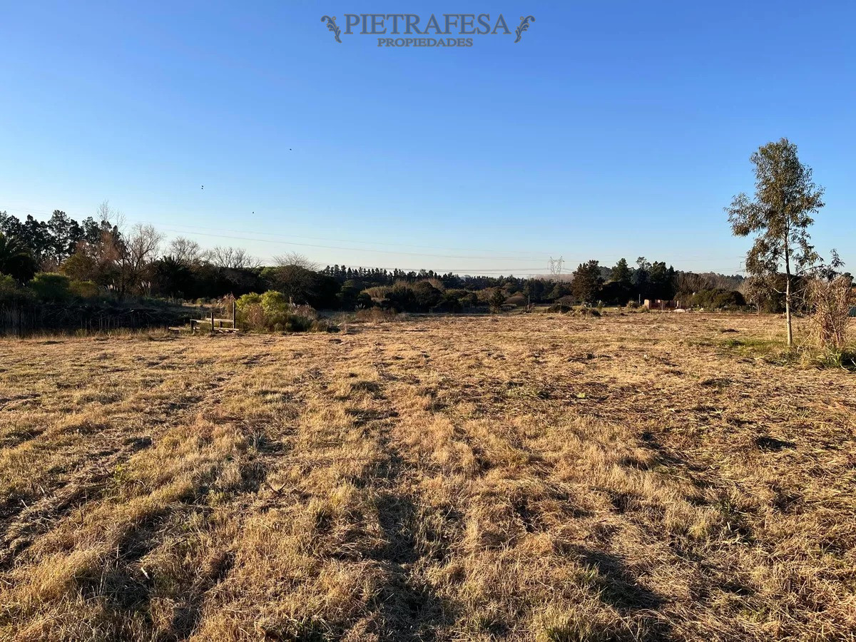 Campo Ref.10253 - Campo n venta- Abayubá