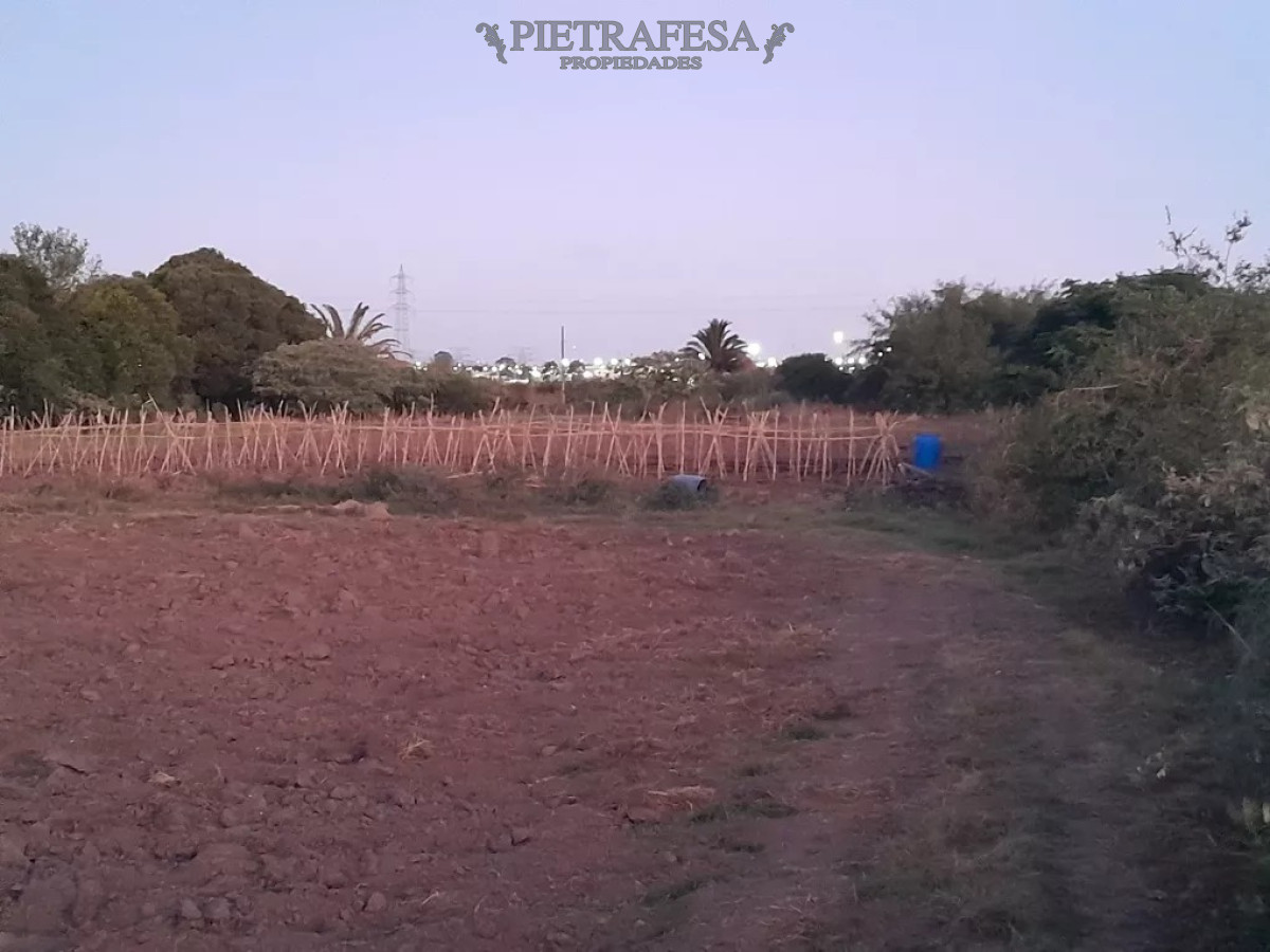 Campo Ref.12498 - Campo en venta -Paso de la arena