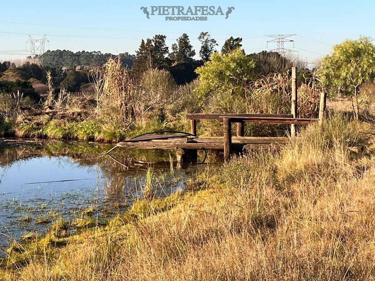 Campo Ref.10253 - Campo n venta- Abayubá