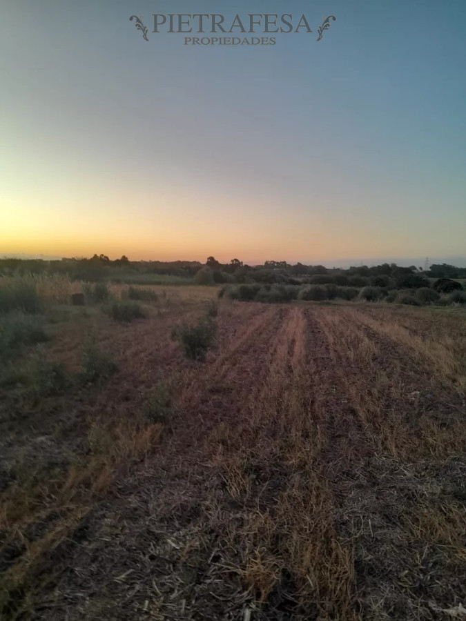 Campo Ref.12498 - Campo en venta -Paso de la arena