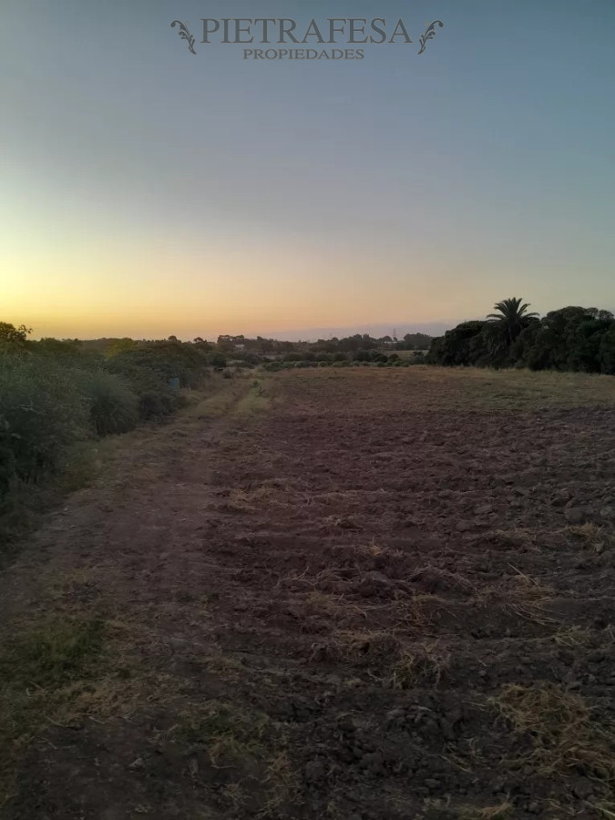 Campo Ref.12498 - Campo en venta -Paso de la arena