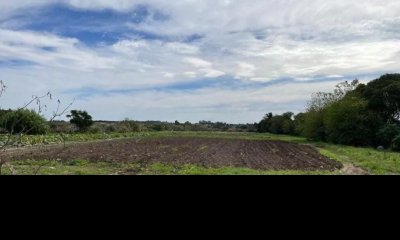Campo en venta -Paso de la arena